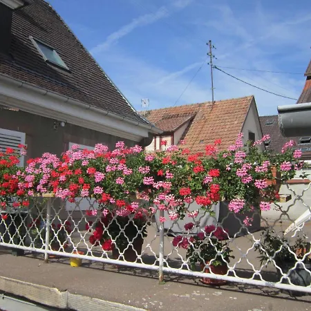 Gite Faubourg Des Pierres Sigolsheim Exterior photo